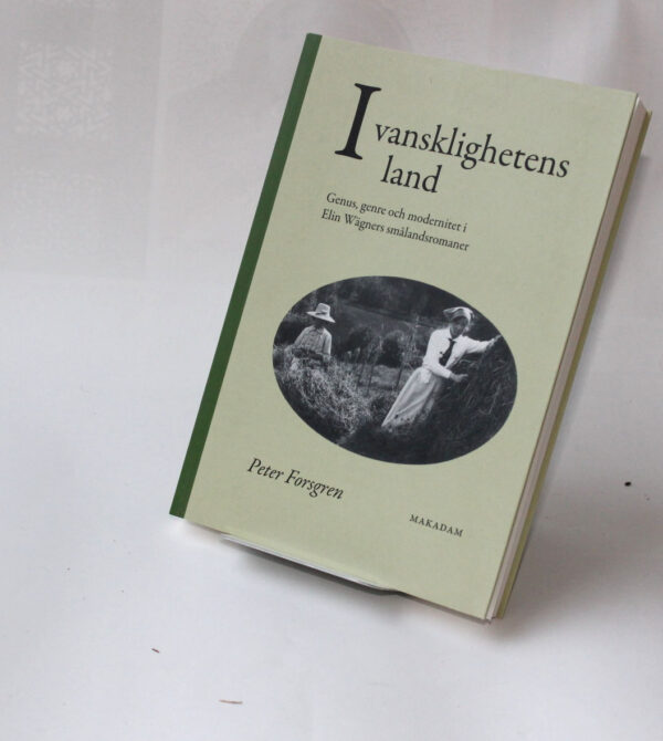 I vansklighetens land :  Genus, genre och modernitet i Elin Wägners smålandsromaner